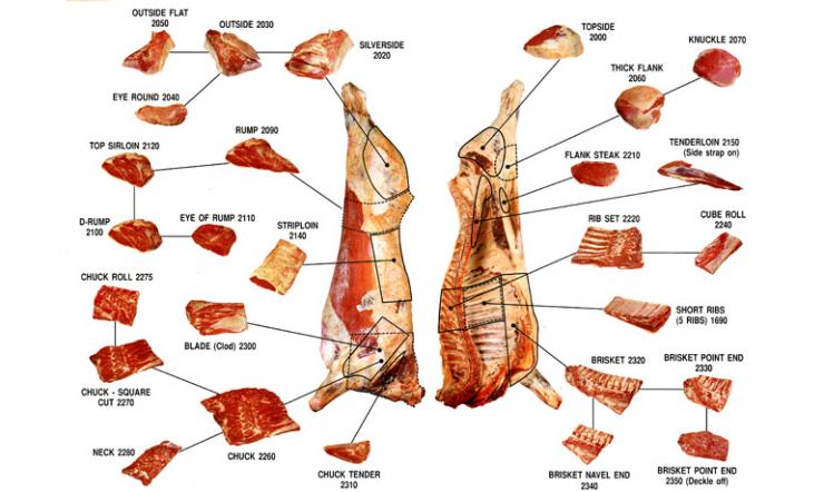 Informational diagram of Beef Cuts